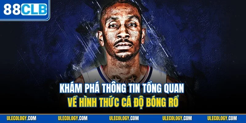 Khám phá thông tin tổng quan về hình thức cá độ bóng rổ