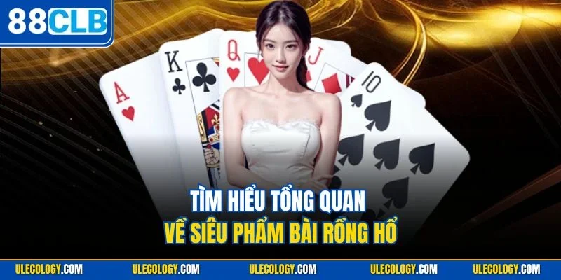 Tìm hiểu tổng quan về siêu phẩm bài Rồng Hổ