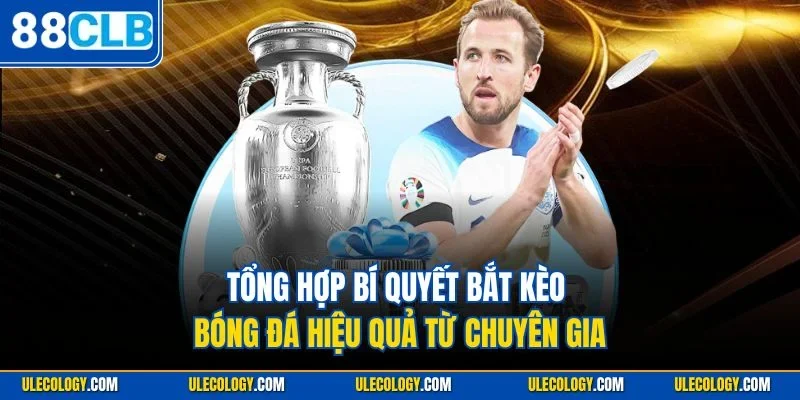 Tổng hợp bí quyết bắt kèo bóng đá hiệu quả từ chuyên gia