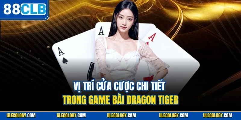 Vị trí cửa cược chi tiết trong game bài Dragon Tiger